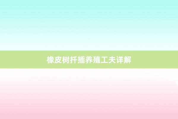 橡皮树扦插养殖工夫详解