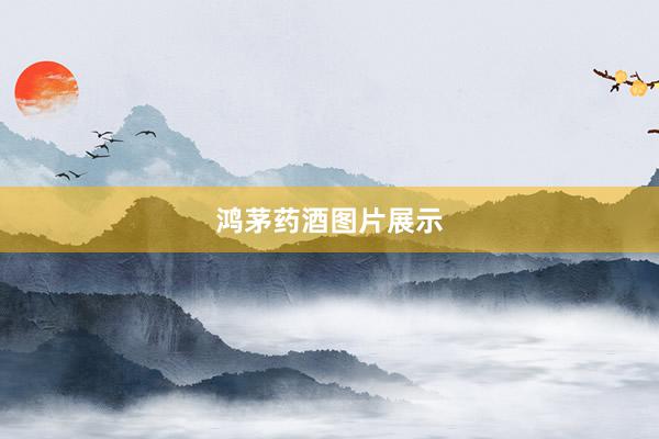鸿茅药酒图片展示